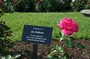Plague and rose from rotary garden